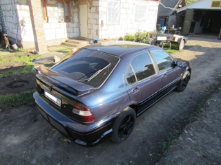 IMG_back.jpg