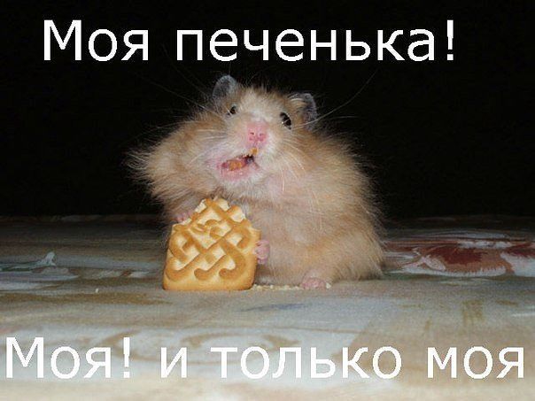Кого то он напоминает все же))))