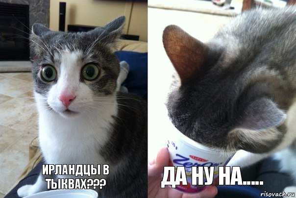 risovach2.ru.jpg