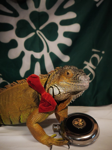 Октябрь 2011. Erin Go Bragh!!!