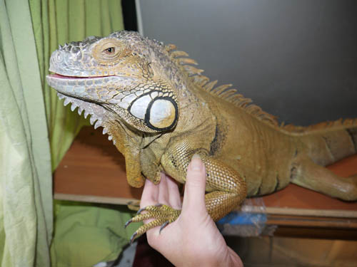 ранняя осень 2011