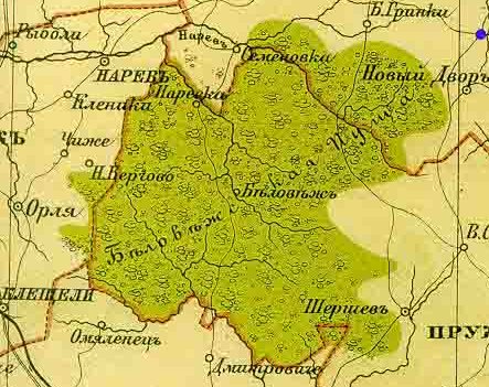 Belovezhskaya_puscha_(1897).jpg